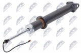 Amortizor Porsche 911 (991, 992) Turbo S 2014-; axa spate, stanga = dreapta, cu Pasm; 992513031F; NTY, aftermarket