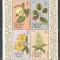Samoa 1981 Christmas, flowers, set+perf. sheet, MNH S.311