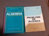 ION D ION ALGEBRA /PROBLEME DE ALGEBRA-EDITIA A PATRA LA AGBERA