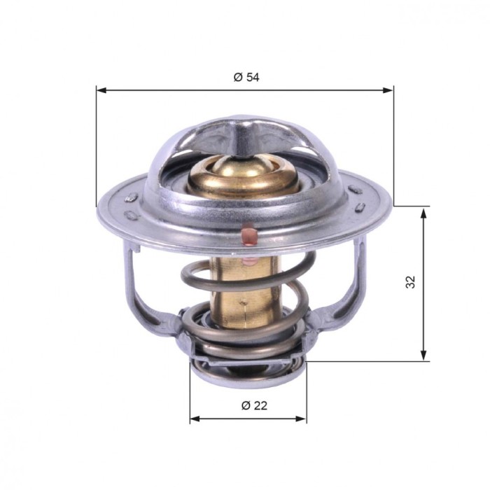 GATES TH42589G1 termostat,lichid racire