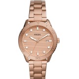 Ceas Dama, Fossil, Dayle BQ3596 - Marime universala