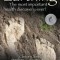 Earthing: The Most Important Health Discovery Ever!