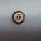 insigna rugby Combinatul petrochimic Pitesti