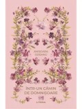 Intr-un camin de domnisoare/Anisoara Odeanu