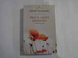 PANA LA CAPATUL PAMANTULUI - DAVID GROSSMAN