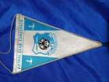 Fanion echipa de fotbal FARUL CONSTANTA !! De colectie !! stare foarte buna !