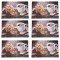 Set suport farfurie pentru servirea mesei, model Pufo Perfect Coffee, 6 bucati