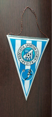 FANION - ASOCIATIA SPORTIVA GLORIA RESITA foto