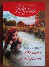 Lorraine Heath - Doamna si nelegiuitul