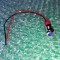 Indicator luminos metalic LED albastru 10mm