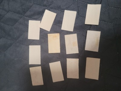 Timbre caisori foto