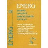 ENERG - Energie. Eficienta. Restructurare. Gestiune, Volumul al XIII-lea