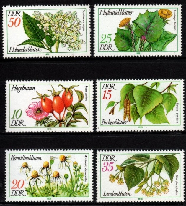 C2915 - Germania DDR 1978 - fleurs 6v. neuzat,perfecta stare