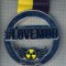 AX 133 MEDALIE -CURSE TEREN DESFUNDAT-IUBESC NOROIUL=#LOVEMUD-NUCLEAR RACES
