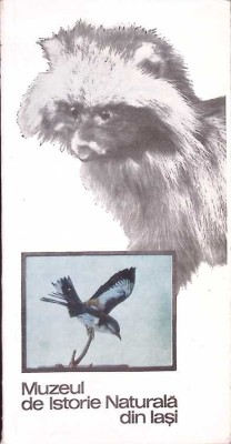 MUZEUL DE ISTORIE NATURALA DIN IASI-NECULAI MACAROVICI-235639 foto