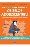 Micul dictionar ilustrat al crizelor adolescentului - Anne-Claire Kleindienst, Lynda Corazza