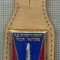 Y 1111 INSIGNA - MILITARA - ILS S&#039;INSTRUISENT POUR VAINCRE- SAINT-CYR- FRANTA