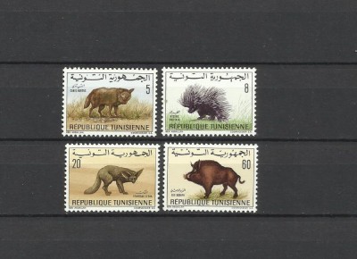 TUNISIA 1968 FAUNA ANIMALE SALBATICE foto