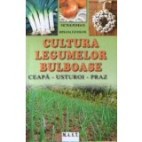Cultura legumelor bulboase | Popescu Victor