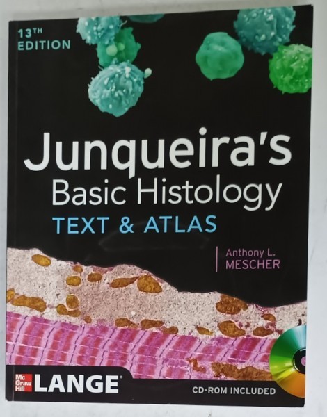 JUNQUEIRA &#039;S BASIC HISTOLOGY , TEXT and ATLAS by ANTHONY L. MESCHER , CD - ROM INCLUDED , 2013