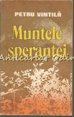 Muntele Sperantei - Petru Vintila foto