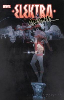 Elektra: Assassin foto