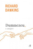 Dumnezeu, o amăgire - Paperback brosat - Richard Dawkins - Curtea Veche