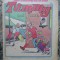 TAMMY AND JUNE , REVISTA PENTRU ADOLESCENTI , CONTINE BENZI DESENATE 1975