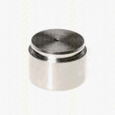 Piston, etrier frana BMW Seria 3 (F30, F35, F80) (2011 - 2016) TRISCAN 8170 234420