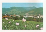 RF64 -Carte Postala- Campulung Moldovenesc, necirculata