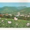 RF64 -Carte Postala- Campulung Moldovenesc, necirculata