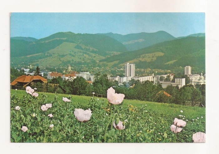 RF64 -Carte Postala- Campulung Moldovenesc, necirculata