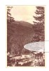 Carte Postala Paltinis Vedere, RPR, Circulata 1954, Stare Buna, Transilvania