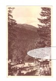 CP Paltinis - Vedere, RPR, circulata 1954, stare buna