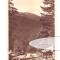 CP Paltinis - Vedere, RPR, circulata 1954, stare buna