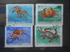 CV2 SERIE KOREEA