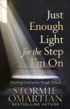 Just Enough Light for the Step I&#039;m on: Trusting God in the Tough Times