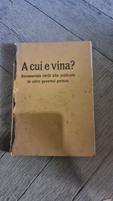 A cui e vina? Documentele cartii albe publicate de catre Gvernul German foto