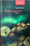 VASILE TUDOR - PIETRE CURGATOARE (POEZII) [volum de debut, 2011]