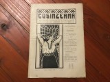 Revista Cosinzeana anul II nr 16 / 21 aprilie 1912 - 12 pagini !