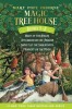 Magic Tree House #5-8