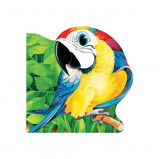 Papagalul. Primii paşi - Hardcover - Aurel Scobioală - Prut