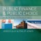 Public Finance and Public Choice: Analytical Perspectives