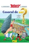 Asterix si Cosorul de aur. Seria Asterix Vol.2 - Rene Goscinny
