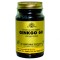 GINKGO BILOBA 60mg veg.caps 60cps SOLGAR
