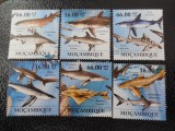 Mozambic-Fauna marina,rechini-serie completa ,MNH