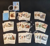 Anii &#039;80 rar ANIMALE si PASARI &ndash; JOC VECHI SET COMPLET Educativ Retro Vintage Carti de joc Comunist Romanesc &quot;Epoca de Aur&quot; Ceausescu
