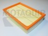 MOTAQUIP VFA1017 Filtru aer