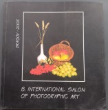 Cumpara ieftin CATALOG EXPO FOTO:8th INTERNATIONAL SALON OF PHOTOGRAPHIC ART/BRASOV 2002/LB ENG