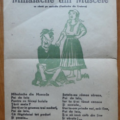 Pliant comunist anti PNT , Mihalache din Muscele , 1946